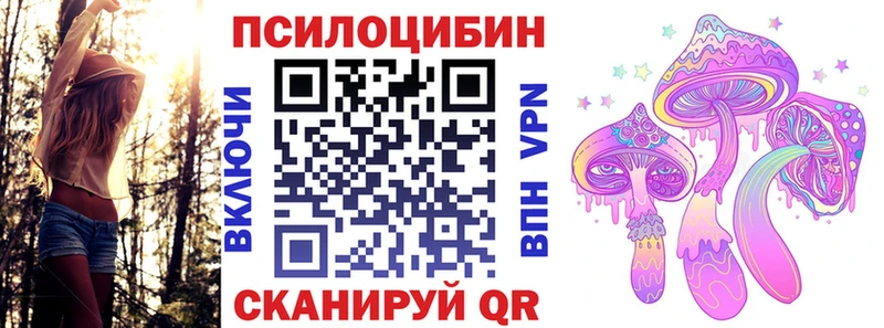 Псилоцибиновые грибы мицелий где купить наркотик Сосенский