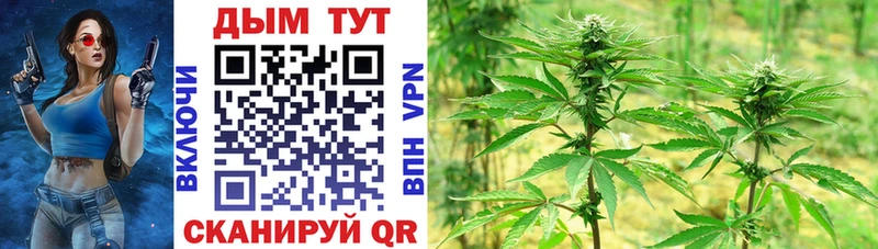 купить закладку  Сосенский  Шишки марихуана White Widow 